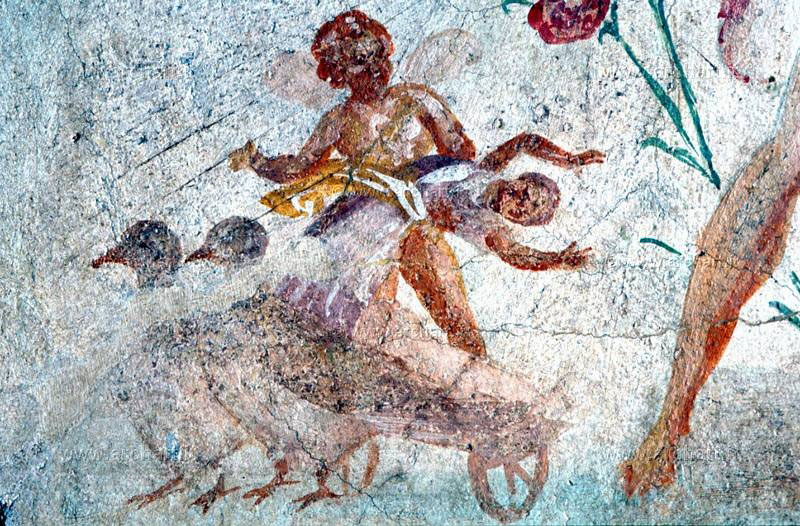 Immagine della storia